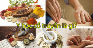 y-hoc-co-truyen-la-gi-hocvienspadongy